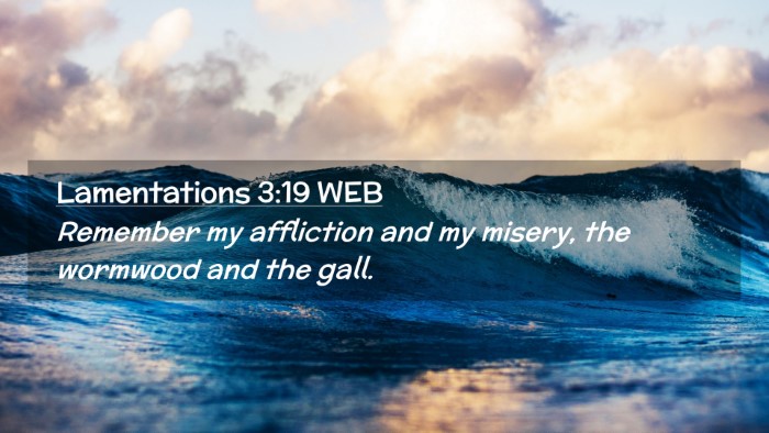 Picture 02 - Lamentations 3:19 WEB Desktop Wallpaper - Remember my affliction and my misery, the - Desktop Bible Verse Wallpaper