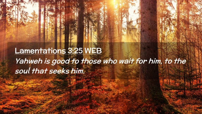 Picture 02 - Lamentations 3:25 WEB Desktop Wallpaper - Yahweh is good to those who wait for him, to the - Desktop Bible Verse Wallpaper