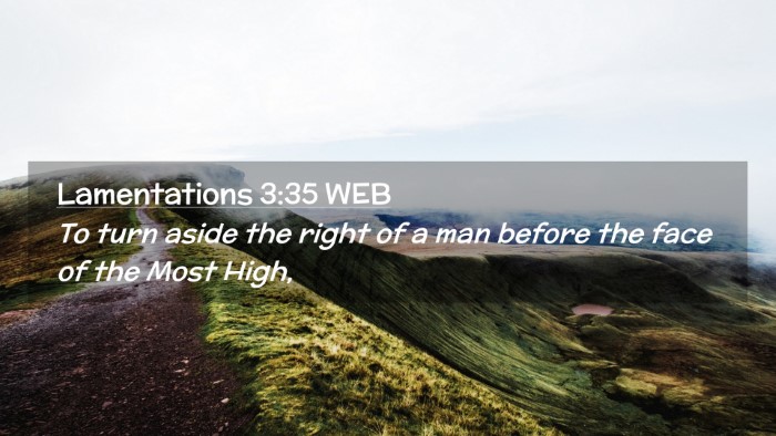 Picture 02 - Lamentations 3:35 WEB Desktop Wallpaper - To turn aside the right of a man before the face - Desktop Bible Verse Wallpaper