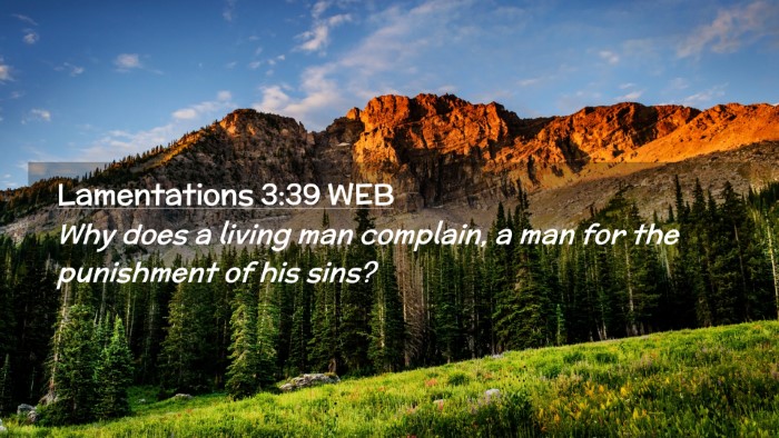 Picture 02 - Lamentations 3:39 WEB Desktop Wallpaper - Why does a living man complain, a man for the - Desktop Bible Verse Wallpaper