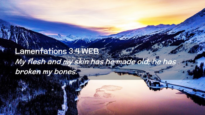Picture 02 - Lamentations 3:4 WEB Desktop Wallpaper - My flesh and my skin has he made old; he has - Desktop Bible Verse Wallpaper