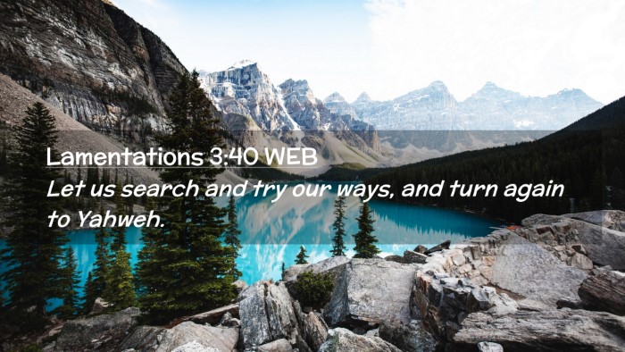 Picture 02 - Lamentations 3:40 WEB Desktop Wallpaper - Let us search and try our ways, and turn again to - Desktop Bible Verse Wallpaper