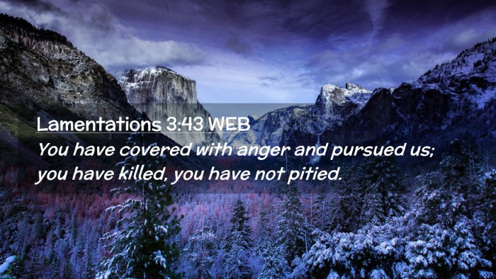 Picture 02 - Lamentations 3:43 WEB Desktop Wallpaper - You have covered with anger and pursued us; you - Desktop Bible Verse Wallpaper