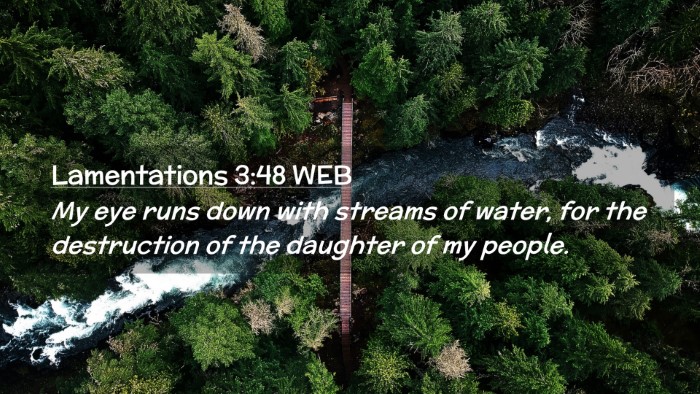 Picture 02 - Lamentations 3:48 WEB Desktop Wallpaper - My eye runs down with streams of water, for the - Desktop Bible Verse Wallpaper