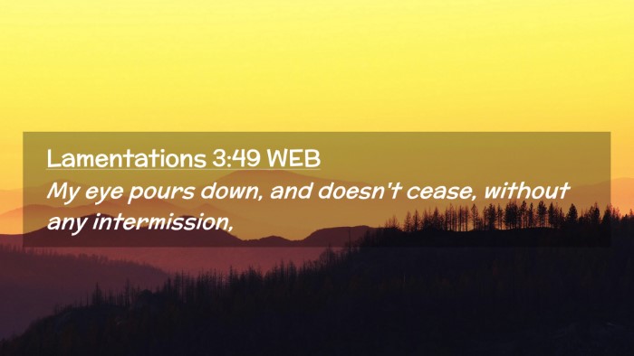 Picture 02 - Lamentations 3:49 WEB Desktop Wallpaper - My eye pours down, and doesn't cease, without any - Desktop Bible Verse Wallpaper