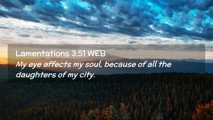 Picture 02 - Lamentations 3:51 WEB Desktop Wallpaper - My eye affects my soul, because of all the - Desktop Bible Verse Wallpaper