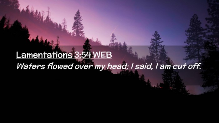 Picture 02 - Lamentations 3:54 WEB Desktop Wallpaper - Waters flowed over my head; I said, I am cut - Desktop Bible Verse Wallpaper