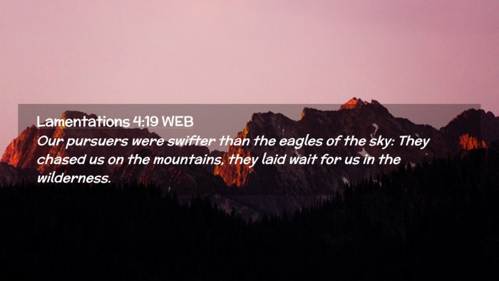 Picture 02 - Lamentations 4:19 WEB Desktop Wallpaper - Our pursuers were swifter than the eagles of the - Desktop Bible Verse Wallpaper