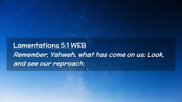 Picture 02 - Lamentations 5:1 WEB Desktop Wallpaper - Remember, Yahweh, what has come on us: Look, and - Desktop Bible Verse Wallpaper