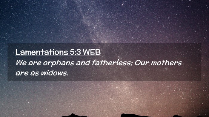 Picture 02 - Lamentations 5:3 WEB Desktop Wallpaper - We are orphans and fatherless; Our mothers are as - Desktop Bible Verse Wallpaper