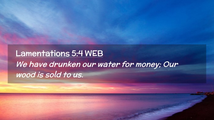Picture 02 - Lamentations 5:4 WEB Desktop Wallpaper - We have drunken our water for money; Our wood is - Desktop Bible Verse Wallpaper