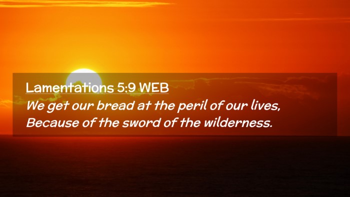 Picture 02 - Lamentations 5:9 WEB Desktop Wallpaper - We get our bread at the peril of our lives, - Desktop Bible Verse Wallpaper