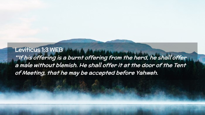 Picture 02 - Leviticus 1:3 WEB Desktop Wallpaper - 