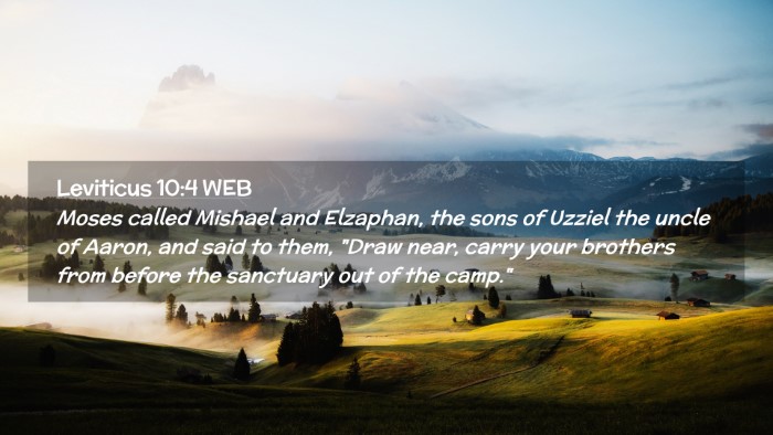 Picture 02 - Leviticus 10:4 WEB Desktop Wallpaper - Moses called Mishael and Elzaphan, the sons of - Desktop Bible Verse Wallpaper