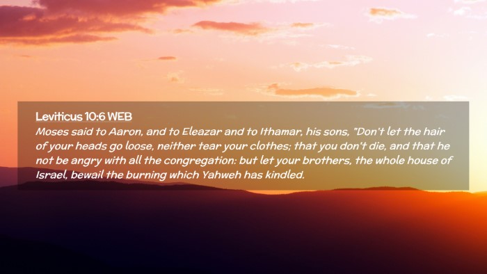 Picture 02 - Leviticus 10:6 WEB Desktop Wallpaper - Moses said to Aaron, and to Eleazar and to - Desktop Bible Verse Wallpaper