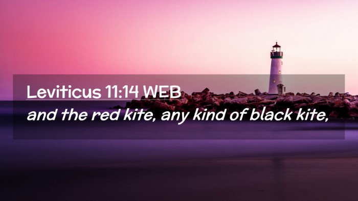 Picture 02 - Leviticus 11:14 WEB Desktop Wallpaper - and the red kite, any kind of black - Desktop Bible Verse Wallpaper