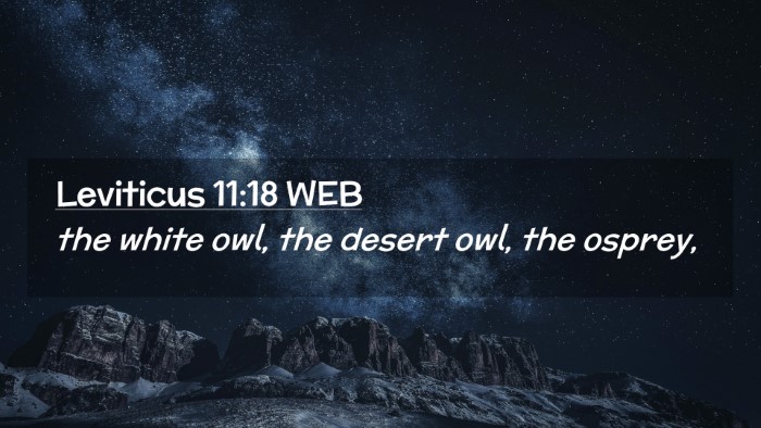 Picture 02 - Leviticus 11:18 WEB Desktop Wallpaper - the white owl, the desert owl, the - Desktop Bible Verse Wallpaper