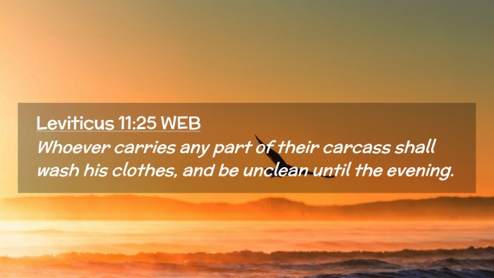 Picture 02 - Leviticus 11:25 WEB Desktop Wallpaper - Whoever carries any part of their carcass shall - Desktop Bible Verse Wallpaper