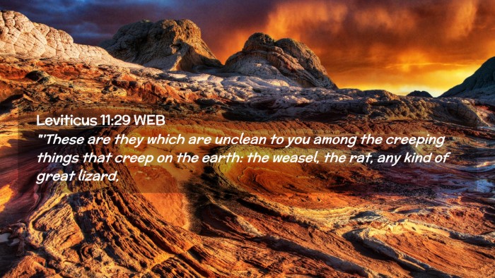 Picture 02 - Leviticus 11:29 WEB Desktop Wallpaper - 