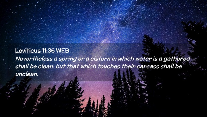 Picture 02 - Leviticus 11:36 WEB Desktop Wallpaper - Nevertheless a spring or a cistern in which water - Desktop Bible Verse Wallpaper