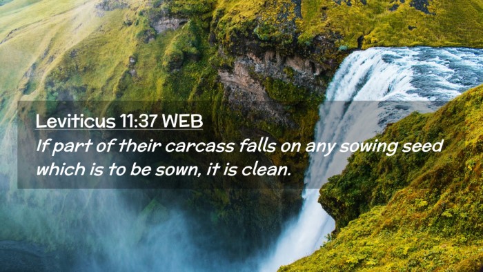 Picture 02 - Leviticus 11:37 WEB Desktop Wallpaper - If part of their carcass falls on any sowing seed - Desktop Bible Verse Wallpaper
