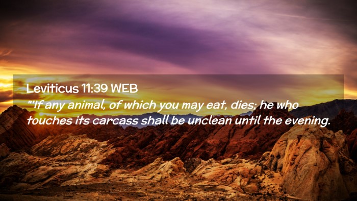Picture 02 - Leviticus 11:39 WEB Desktop Wallpaper - 