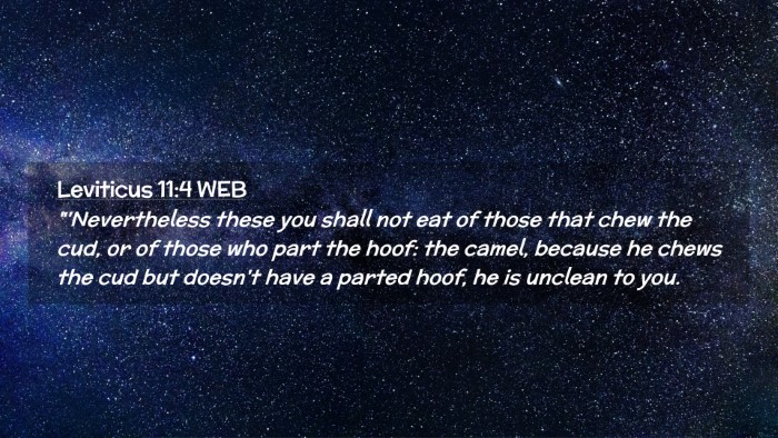 Picture 02 - Leviticus 11:4 WEB Desktop Wallpaper - 