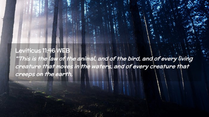 Picture 02 - Leviticus 11:46 WEB Desktop Wallpaper - 