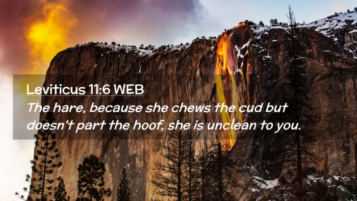 Picture 02 - Leviticus 11:6 WEB Desktop Wallpaper - The hare, because she chews the cud but doesn't - Desktop Bible Verse Wallpaper