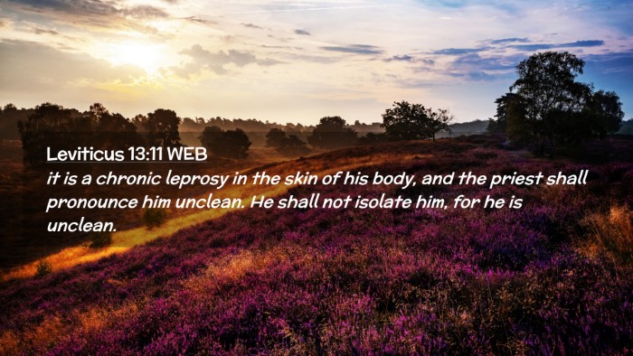 Picture 02 - Leviticus 13:11 WEB Desktop Wallpaper - it is a chronic leprosy in the skin of his body, - Desktop Bible Verse Wallpaper