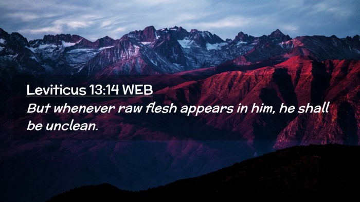 Picture 02 - Leviticus 13:14 WEB Desktop Wallpaper - But whenever raw flesh appears in him, he shall - Desktop Bible Verse Wallpaper
