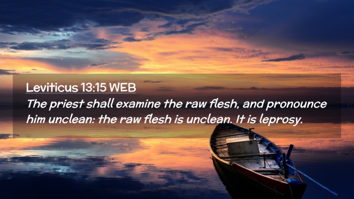 Picture 02 - Leviticus 13:15 WEB Desktop Wallpaper - The priest shall examine the raw flesh, and - Desktop Bible Verse Wallpaper