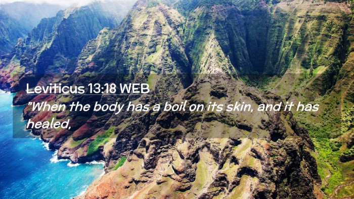 Picture 02 - Leviticus 13:18 WEB Desktop Wallpaper - 