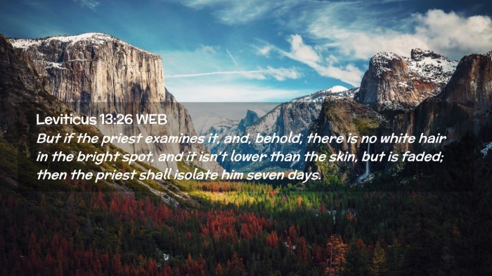 Picture 02 - Leviticus 13:26 WEB Desktop Wallpaper - But if the priest examines it, and, behold, there - Desktop Bible Verse Wallpaper