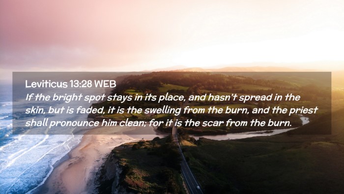 Picture 02 - Leviticus 13:28 WEB Desktop Wallpaper - If the bright spot stays in its place, and hasn't - Desktop Bible Verse Wallpaper