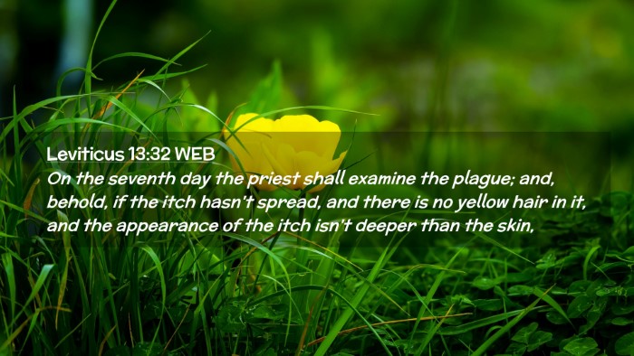 Picture 02 - Leviticus 13:32 WEB Desktop Wallpaper - On the seventh day the priest shall examine the - Desktop Bible Verse Wallpaper