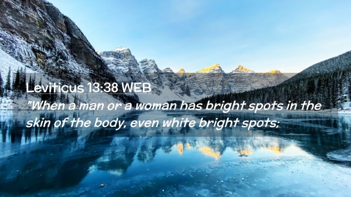 Picture 02 - Leviticus 13:38 WEB Desktop Wallpaper - 