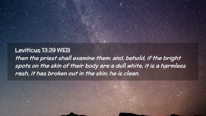 Picture 02 - Leviticus 13:39 WEB Desktop Wallpaper - then the priest shall examine them; and, behold, - Desktop Bible Verse Wallpaper