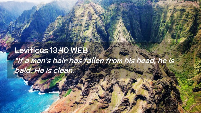 Picture 02 - Leviticus 13:40 WEB Desktop Wallpaper - 