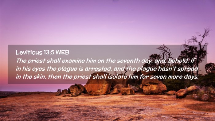 Picture 02 - Leviticus 13:5 WEB Desktop Wallpaper - The priest shall examine him on the seventh day, - Desktop Bible Verse Wallpaper