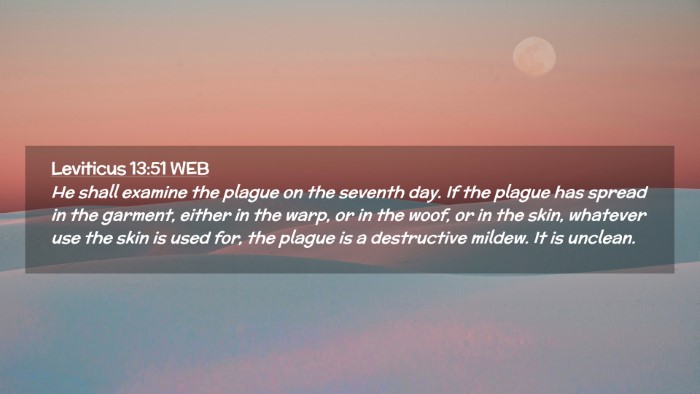 Picture 02 - Leviticus 13:51 WEB Desktop Wallpaper - He shall examine the plague on the seventh day. - Desktop Bible Verse Wallpaper