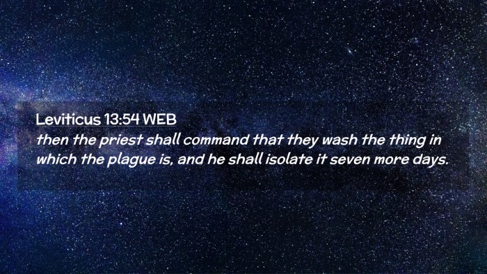 Picture 02 - Leviticus 13:54 WEB Desktop Wallpaper - then the priest shall command that they wash the - Desktop Bible Verse Wallpaper