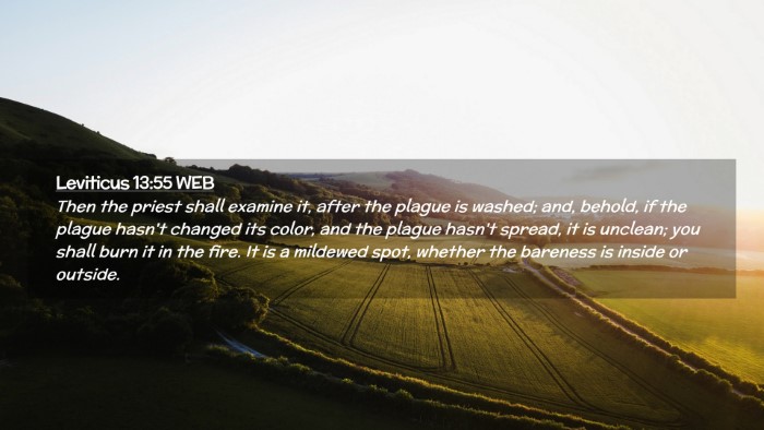 Picture 02 - Leviticus 13:55 WEB Desktop Wallpaper - Then the priest shall examine it, after the - Desktop Bible Verse Wallpaper