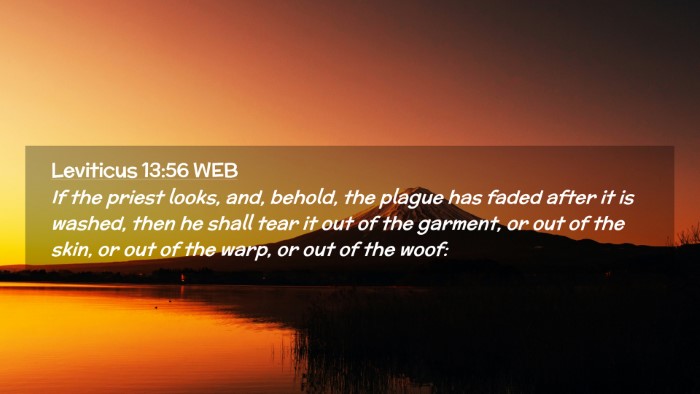 Picture 02 - Leviticus 13:56 WEB Desktop Wallpaper - If the priest looks, and, behold, the plague has - Desktop Bible Verse Wallpaper