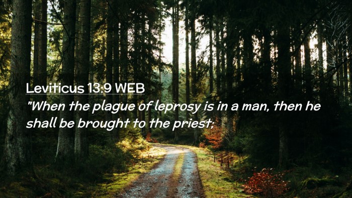 Picture 02 - Leviticus 13:9 WEB Desktop Wallpaper - 