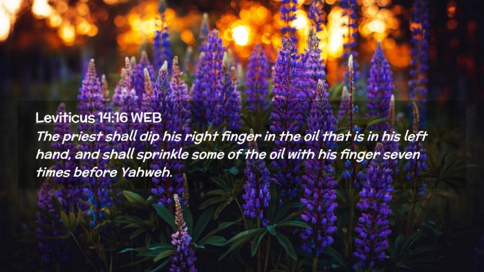 Picture 02 - Leviticus 14:16 WEB Desktop Wallpaper - The priest shall dip his right finger in the oil - Desktop Bible Verse Wallpaper
