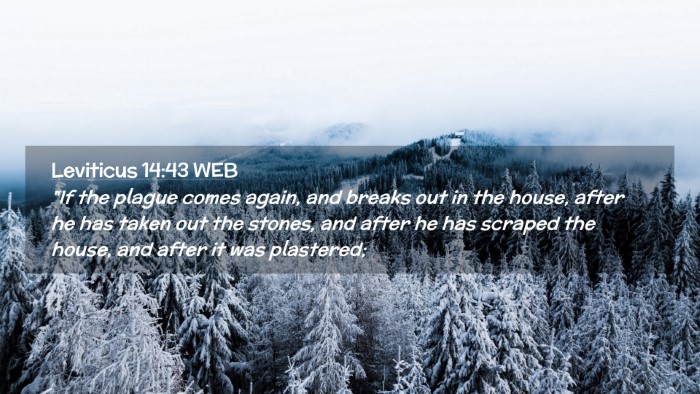 Picture 02 - Leviticus 14:43 WEB Desktop Wallpaper - 
