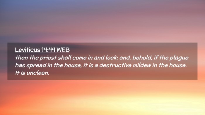 Picture 02 - Leviticus 14:44 WEB Desktop Wallpaper - then the priest shall come in and look; and, - Desktop Bible Verse Wallpaper
