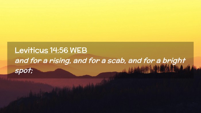 Picture 02 - Leviticus 14:56 WEB Desktop Wallpaper - and for a rising, and for a scab, and for a - Desktop Bible Verse Wallpaper