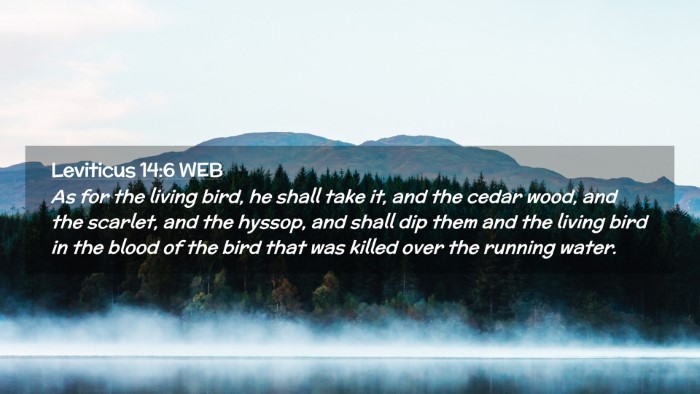 Picture 02 - Leviticus 14:6 WEB Desktop Wallpaper - As for the living bird, he shall take it, and the - Desktop Bible Verse Wallpaper